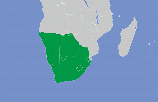 SACU map